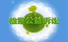  2018年檢察機關生態(tài)環(huán)境公益訴訟