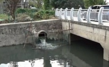  回頭看”典型案例通報（二十三）丨責(zé)任未壓實 整改打折扣 安徽蕪湖中央環(huán)保督察整改落實不力