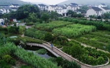  蘇州積極推進(jìn)農(nóng)村生活污水治理