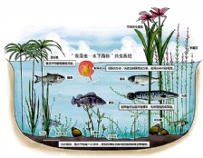  銀海地產(chǎn)河道水質(zhì)監(jiān)測(cè)