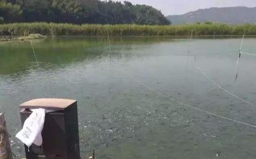 水渾了？不用怕，這五個方面讓水質(zhì)恢復清新