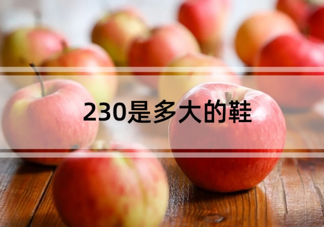 230是多大的鞋